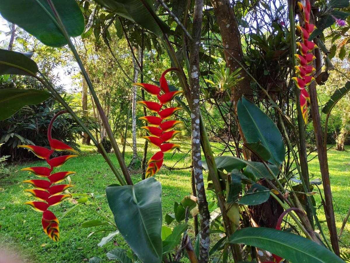 Ecoisa De Chacara - Casa De Vidro, Casa De Campo موريتيس المظهر الخارجي الصورة