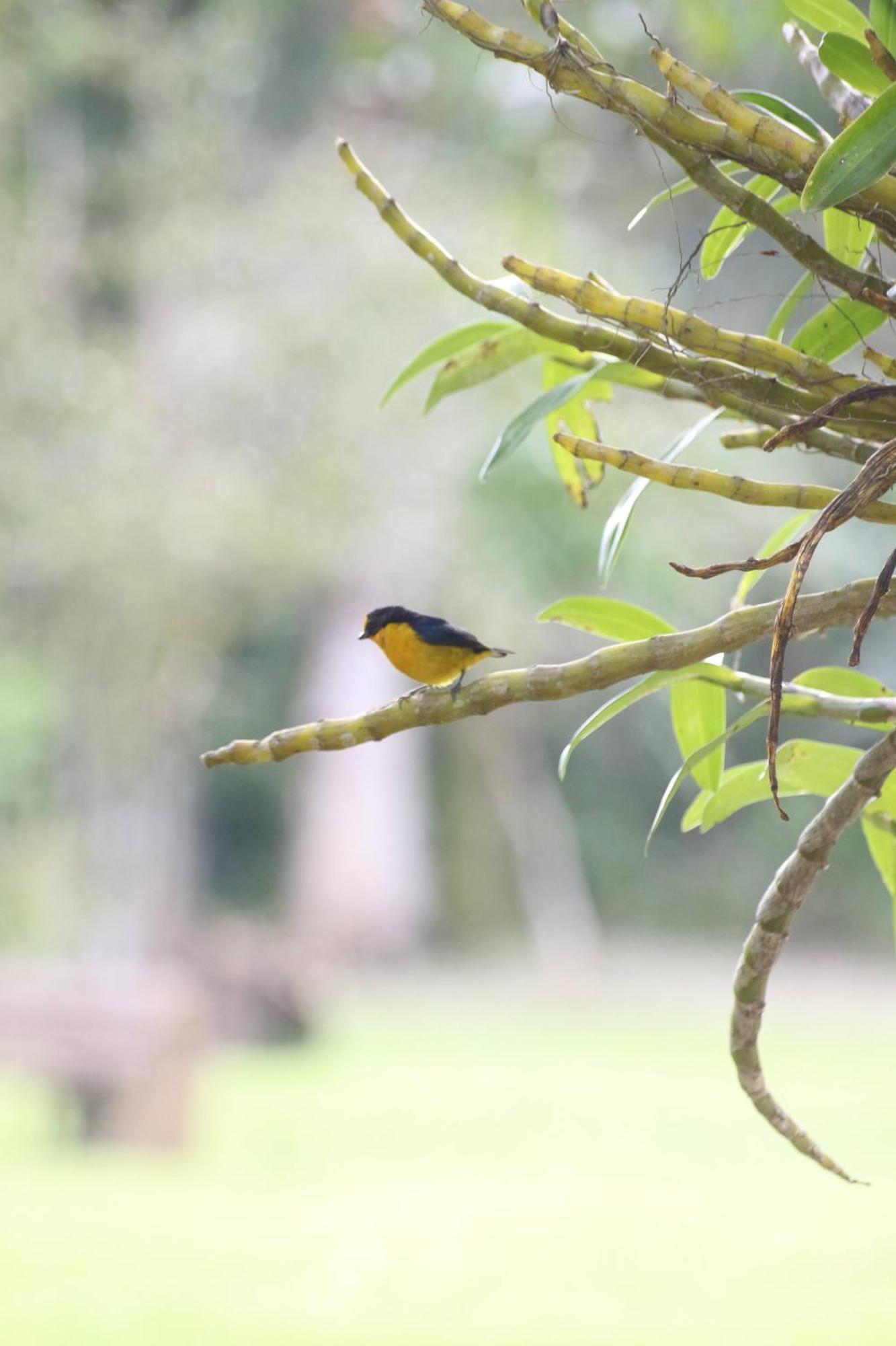 Ecoisa De Chacara - Casa De Vidro, Casa De Campo موريتيس المظهر الخارجي الصورة