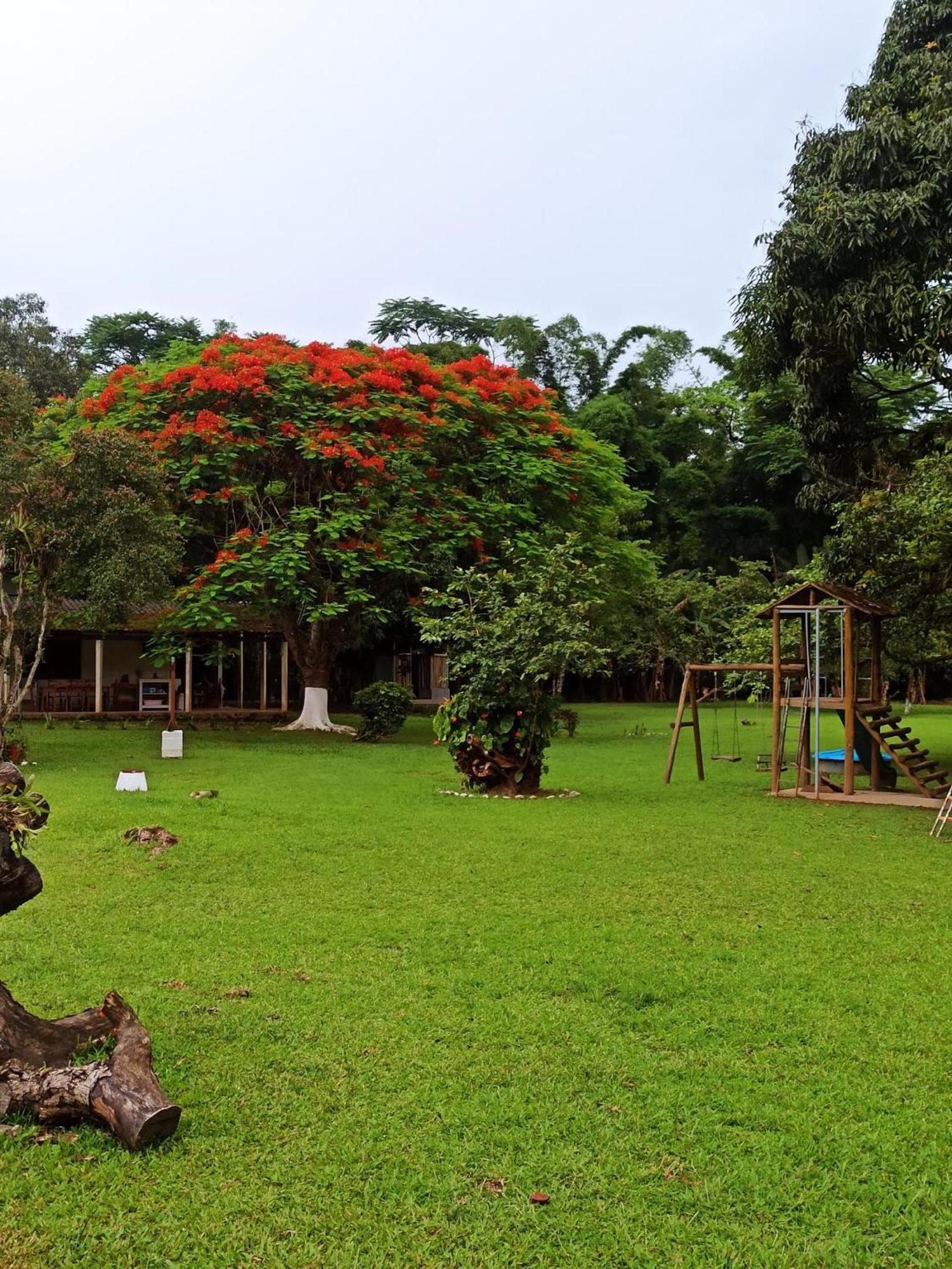 Ecoisa De Chacara - Casa De Vidro, Casa De Campo موريتيس المظهر الخارجي الصورة